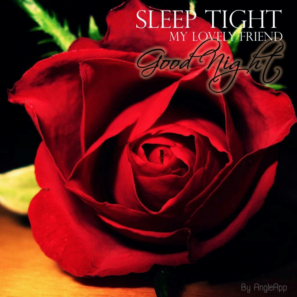 Good Night Message For Lovely Friend - HD Wallpaper 