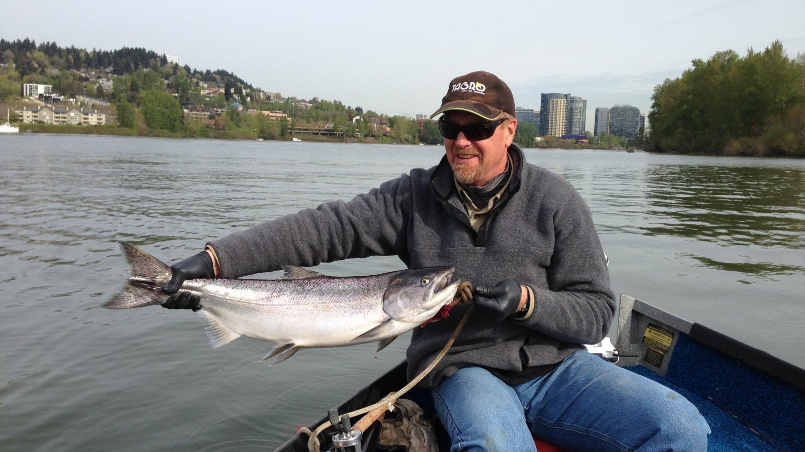 Wilson, Steve - Salmon - HD Wallpaper 