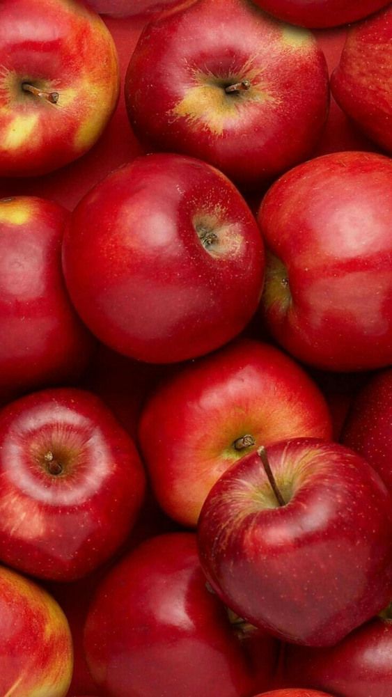 Apple Fruit - HD Wallpaper 