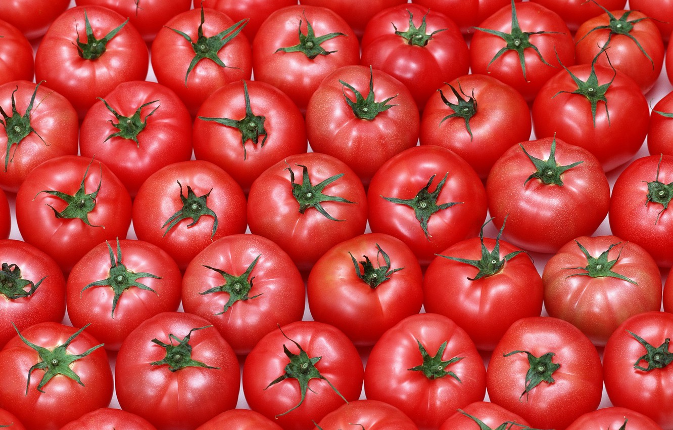 Photo Wallpaper Background, Texture, Vegetables, Tomatoes, - Baku Pamidor - HD Wallpaper 