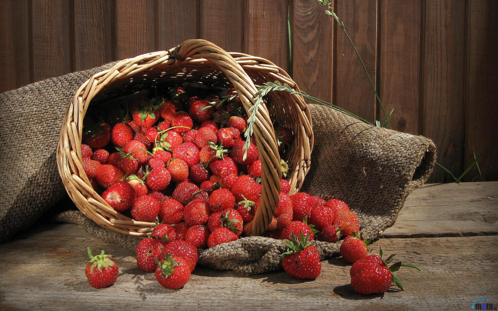 Strawberry Fruits - Fondos De Pantalla De La Fresa - HD Wallpaper 