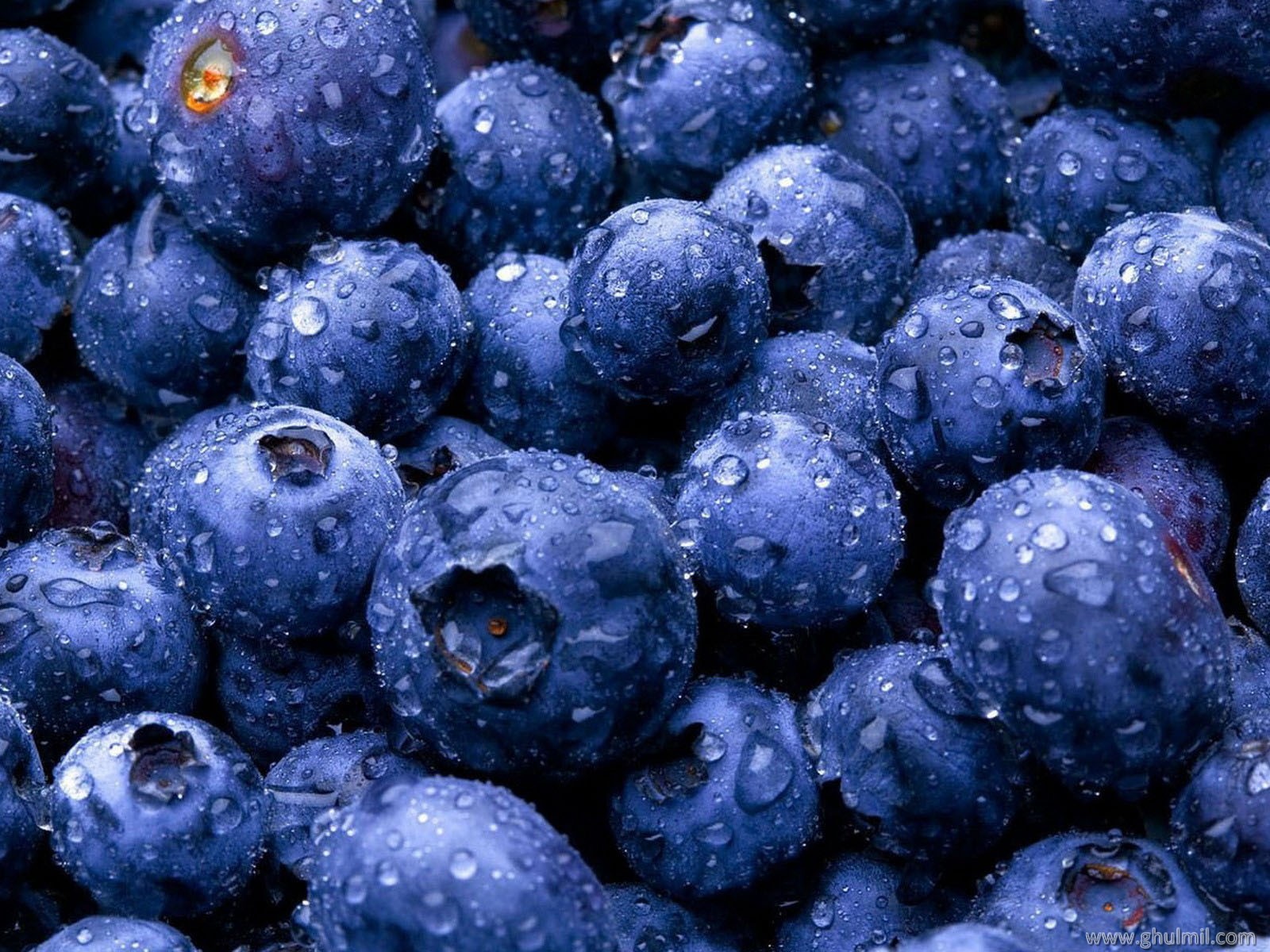 Amazing 3d Fruit High Defination Wallpapers And Backgrounds - Blueberry Definition - HD Wallpaper 