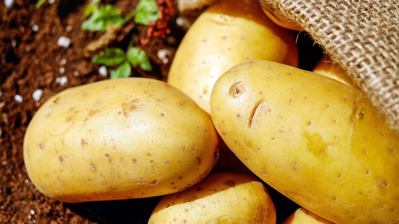 Harvest Potatoes Soil Vegetables Life Close Up Photo - India King Of Vegetables - HD Wallpaper 