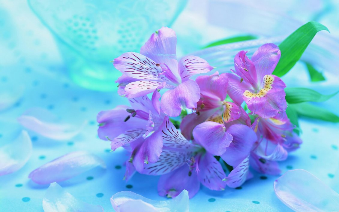 Download Wallpaper Purple Spring Flowers - Light Blue Purple Flower - HD Wallpaper 