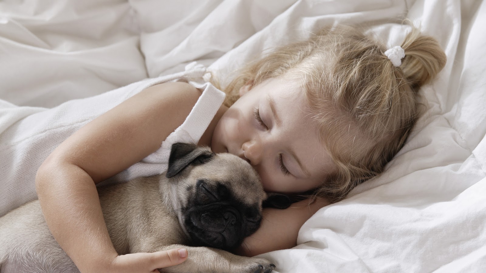 Kopek Ve Kiz Çocuğu - HD Wallpaper 