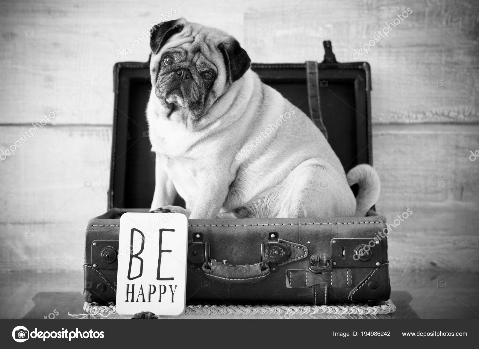 Stock Photography - HD Wallpaper 