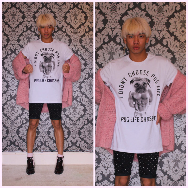 Bulldog - HD Wallpaper 