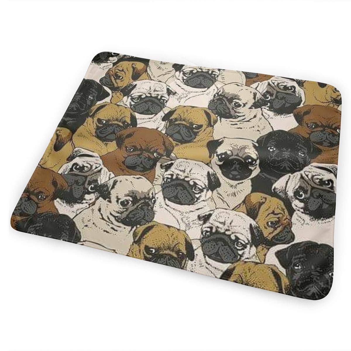 Norwegian Elkhound - HD Wallpaper 