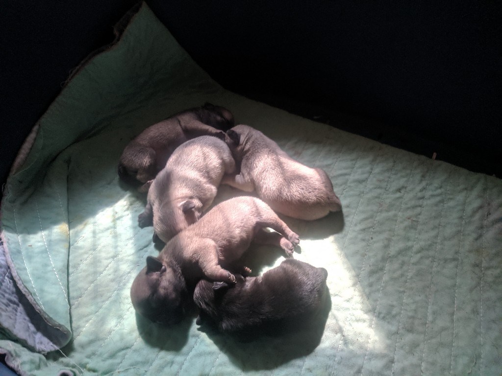 Comfort - HD Wallpaper 