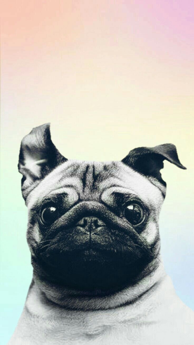 Don T Worry Tomorrow Will Be Better - HD Wallpaper 