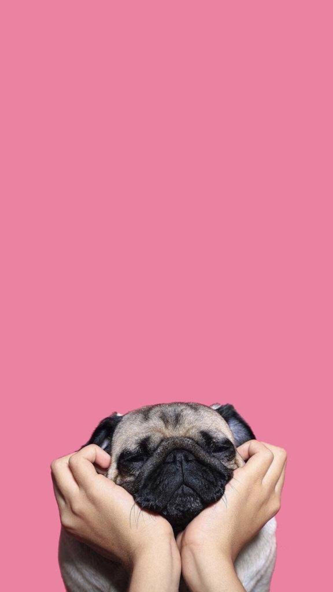 Lock Screen Cute Dog Wallpaper Iphone - HD Wallpaper 
