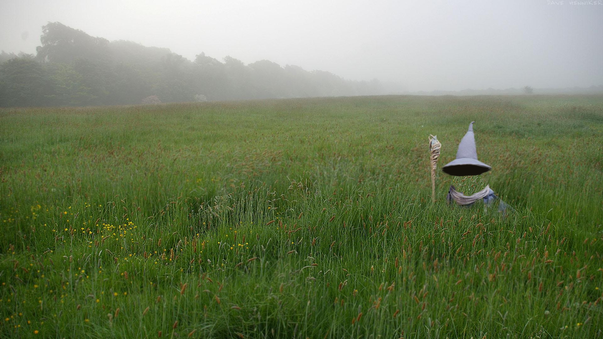 Pug Gandalf - HD Wallpaper 