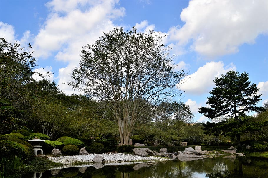 Japanese Garden, Houston, Texas, Flowers, Trees, Natural, - HD Wallpaper 