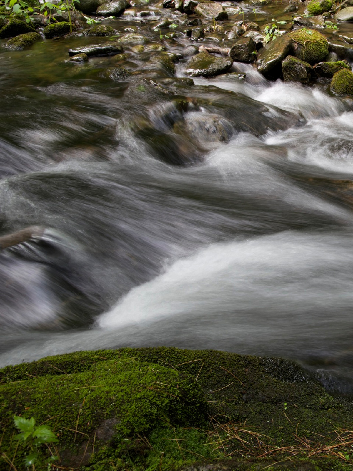 Wallpaper - HD Wallpaper 