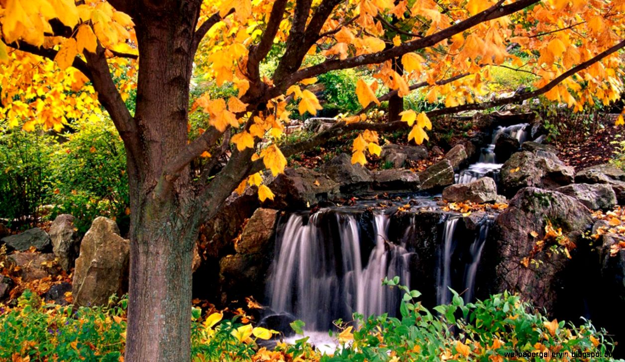 Beautiful Natural Scenery Wallpapers 4 20 Wallpaper - Chicago Botanic Garden - HD Wallpaper 