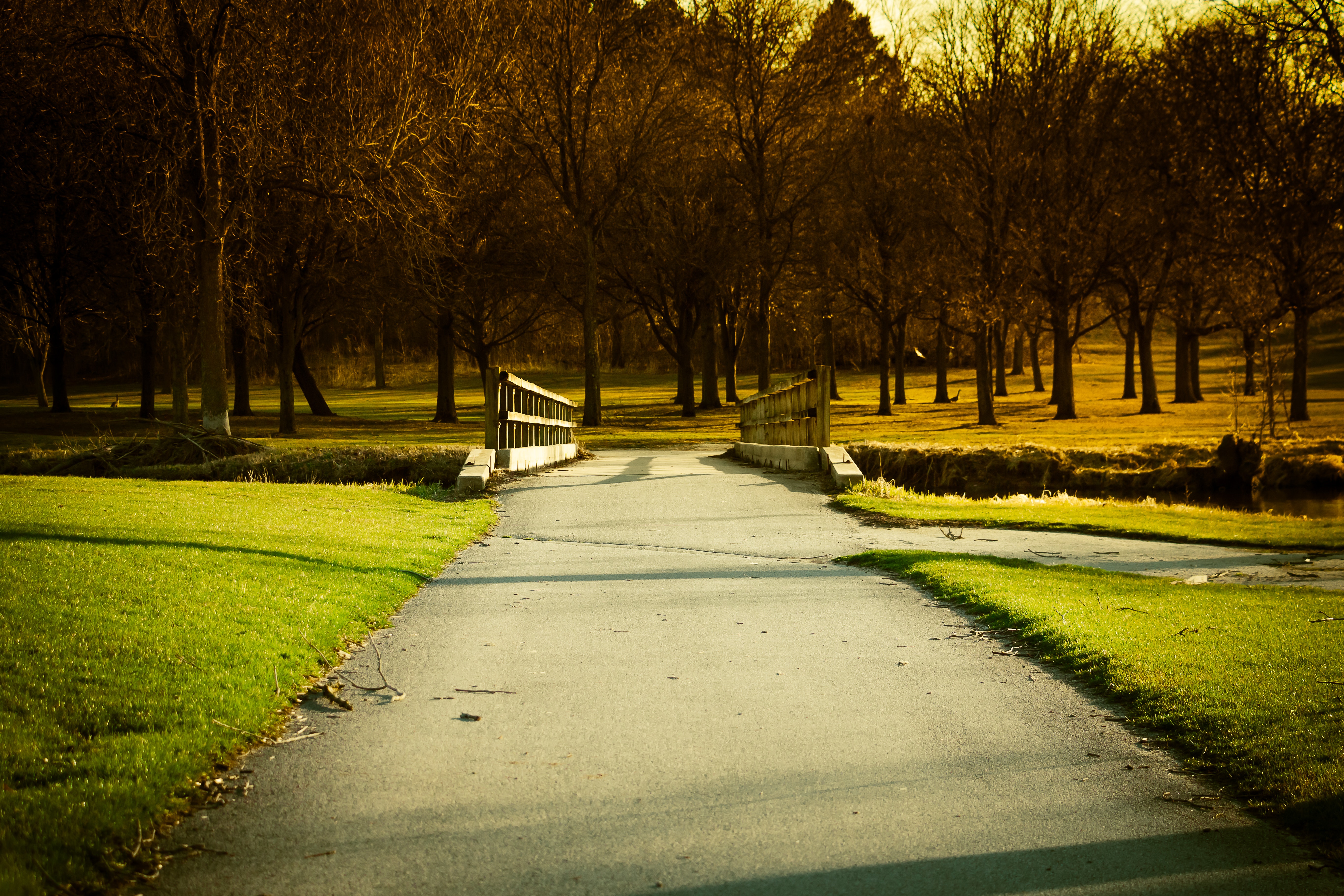 Grove - HD Wallpaper 