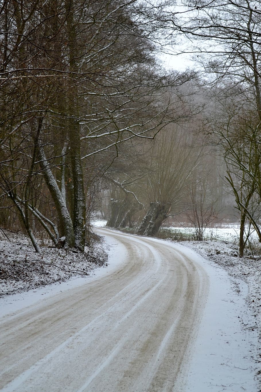 Winter, Snow, Landscape, Nature, Forest, The Path, - HD Wallpaper 