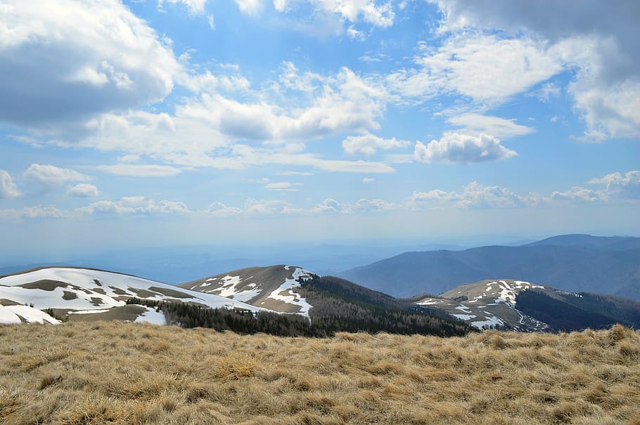 Winter, Scene, Mountain, Wonderland, Forest, Cold, - HD Wallpaper 