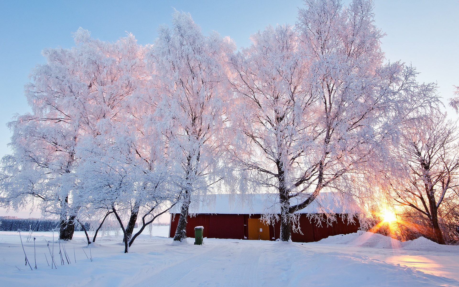 Wallpaper Beautiful Winter Landscape, Snowy, Trees, - Beautiful Winter Landscapes - HD Wallpaper 