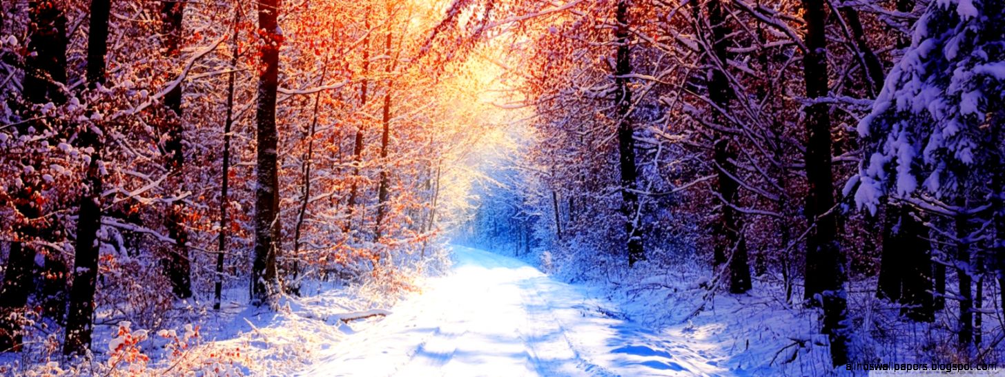 Winter Scenes Hd Desktop Wallpaper Widescreen High - Winter Wallpaper Hd Widescreen - HD Wallpaper 