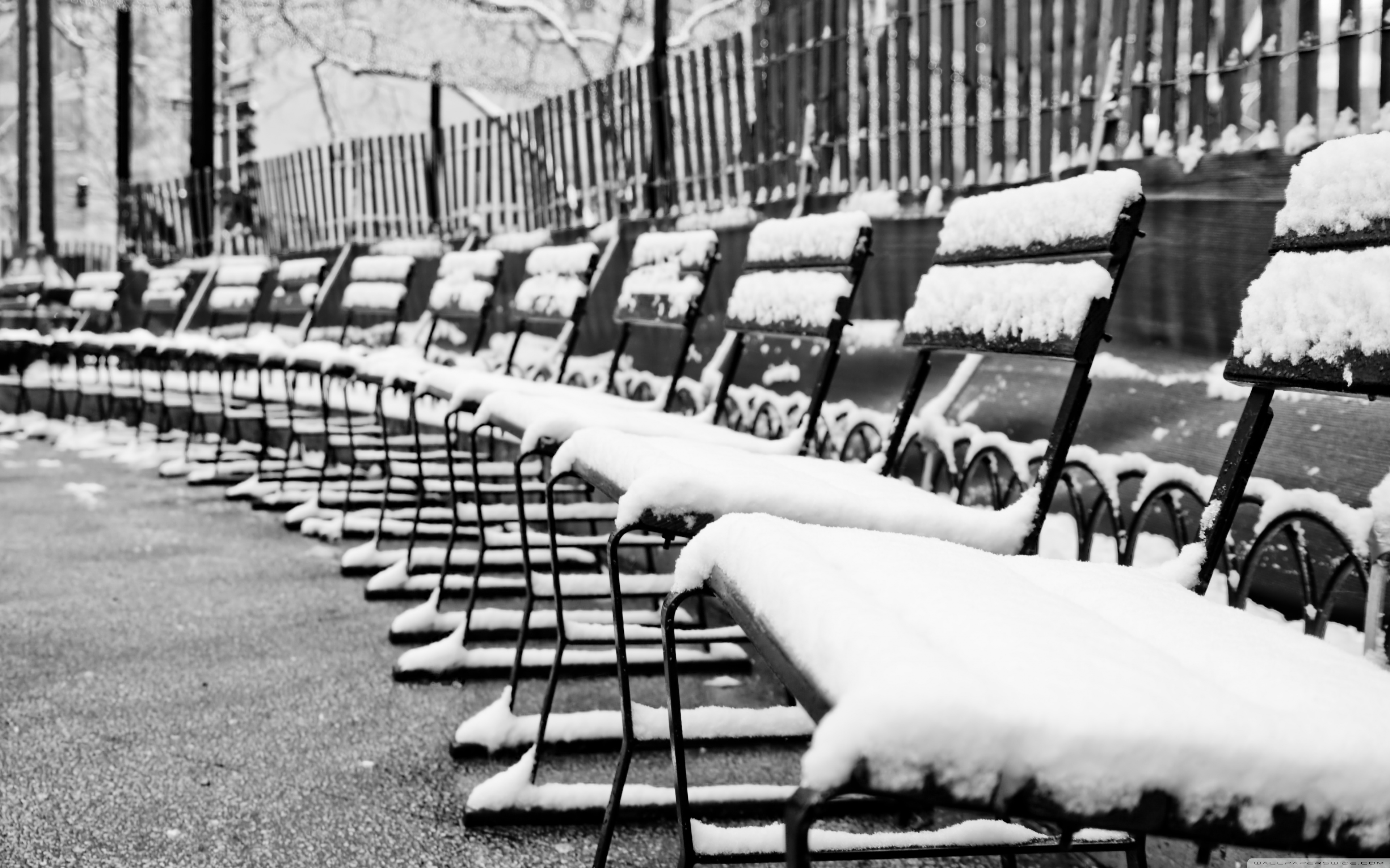 Chicago Snow Winter - HD Wallpaper 