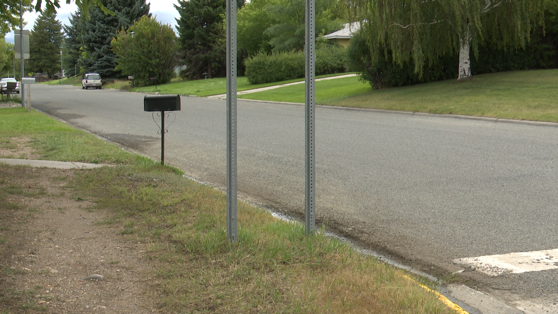 Items - [0] - Image - Alt - Tree - HD Wallpaper 