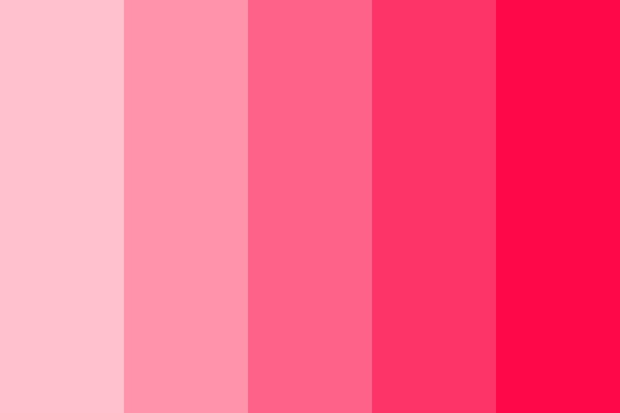 Color Pallet Wallpaper - pic-user