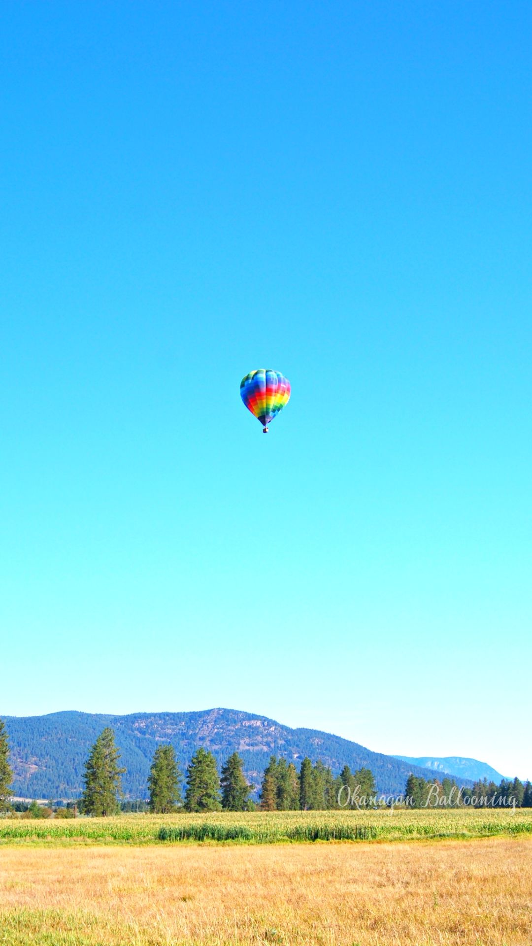 Paragliding - HD Wallpaper 