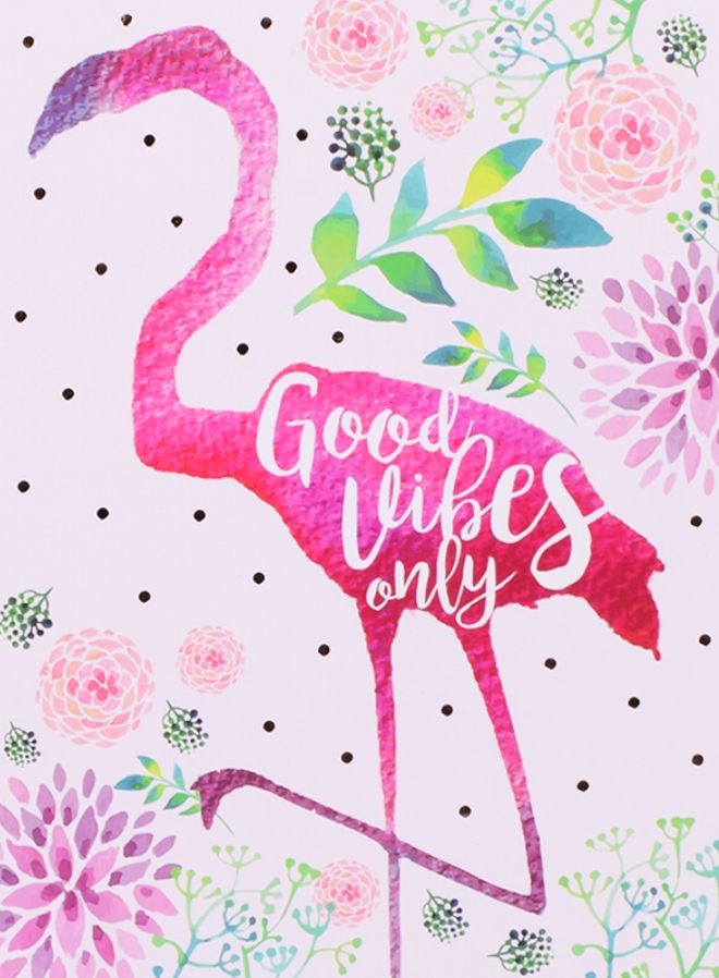 Pink Flamingo Flamingo - HD Wallpaper 