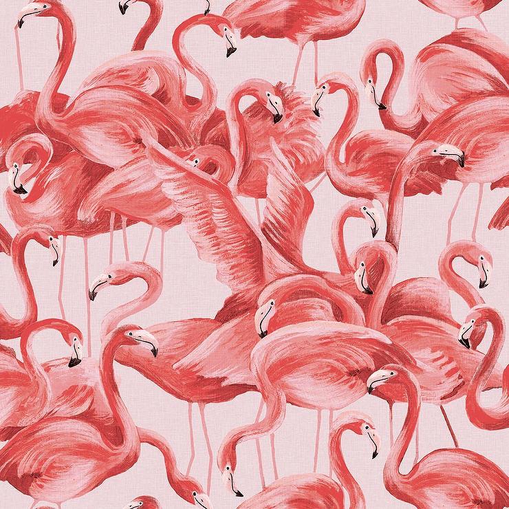 Flamingo Peel And Stick - HD Wallpaper 