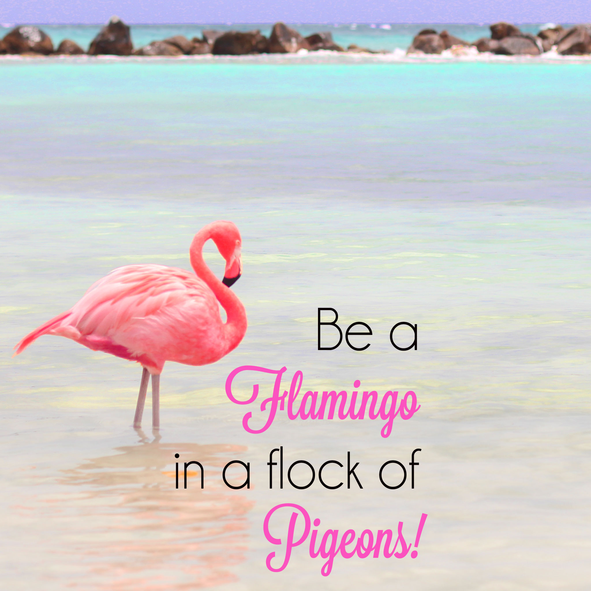 Be A Flamingo In A Flock Of Pigeons Ipad Wallpaper - Flamingo In A Flock Of Pigeons Meaning - HD Wallpaper 