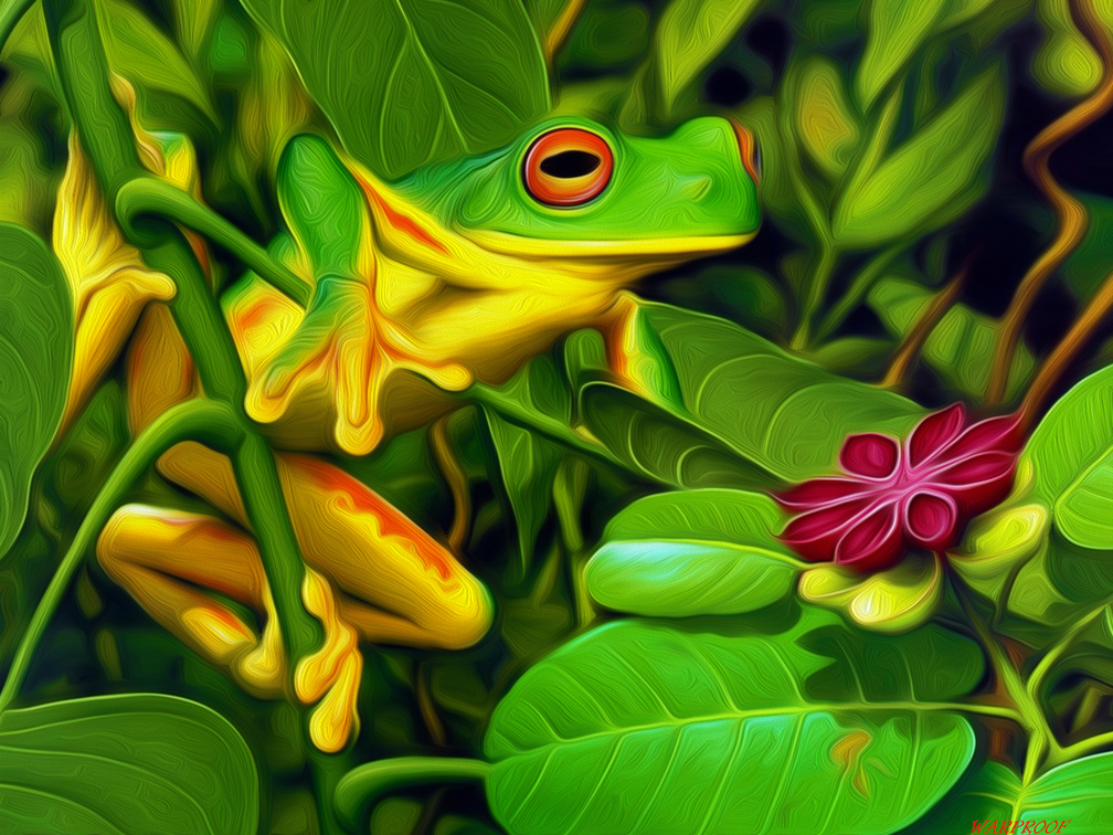 Frog Green Leaves - HD Wallpaper 