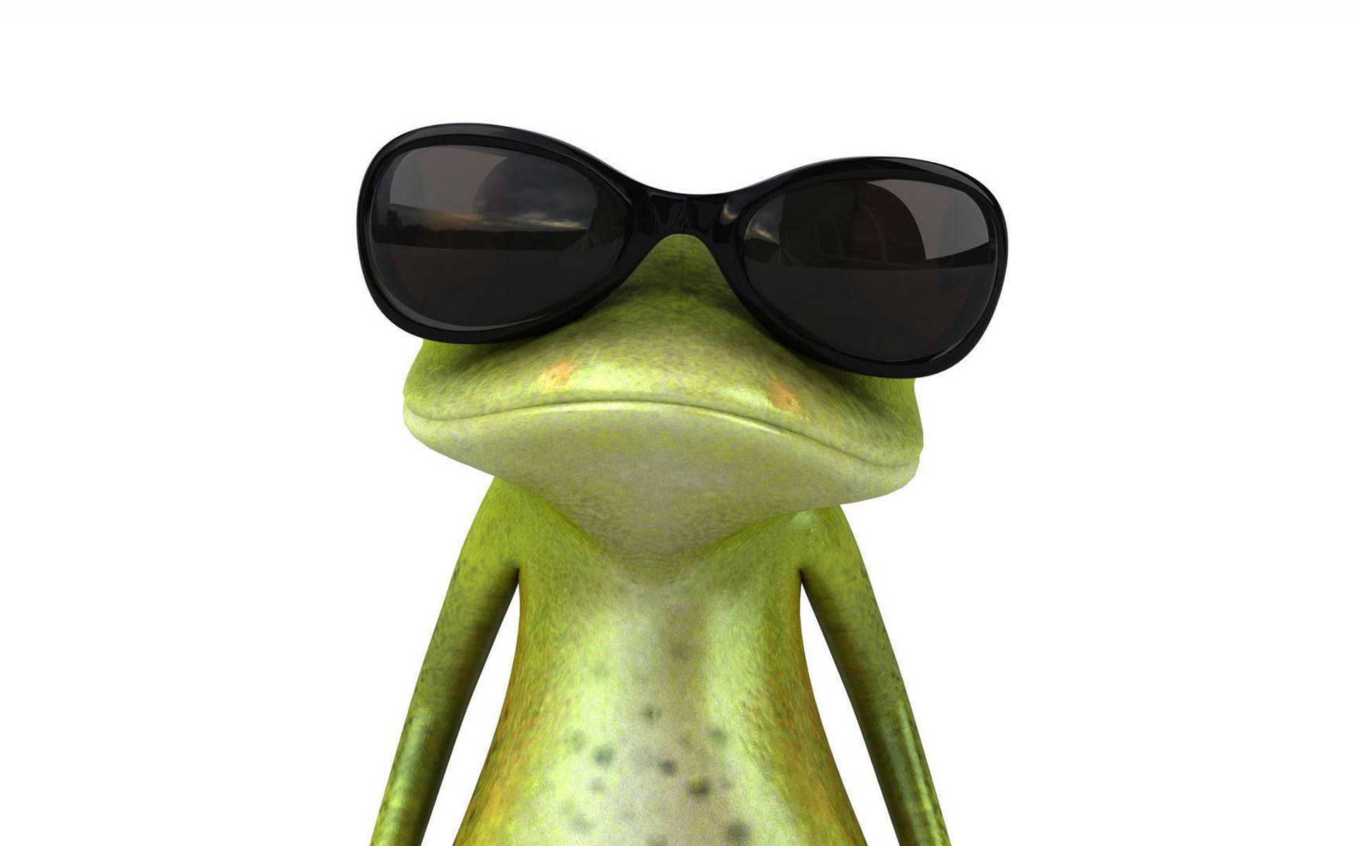 Funny Frog Wallpapers Hd, Hd Desktop Wallpapers - Frog With Sunglasses - HD Wallpaper 