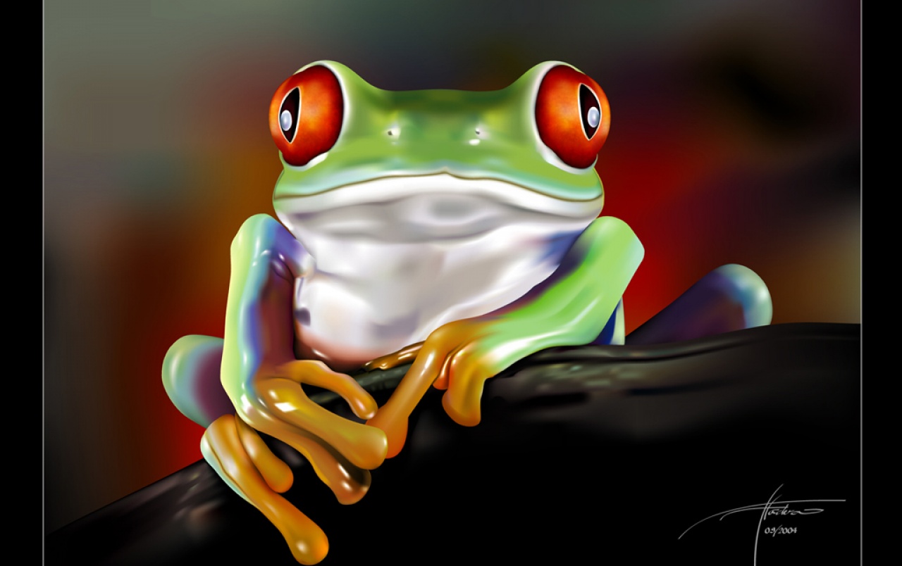 Red Eye Frog Wallpapers - 有毒 青蛙 - HD Wallpaper 