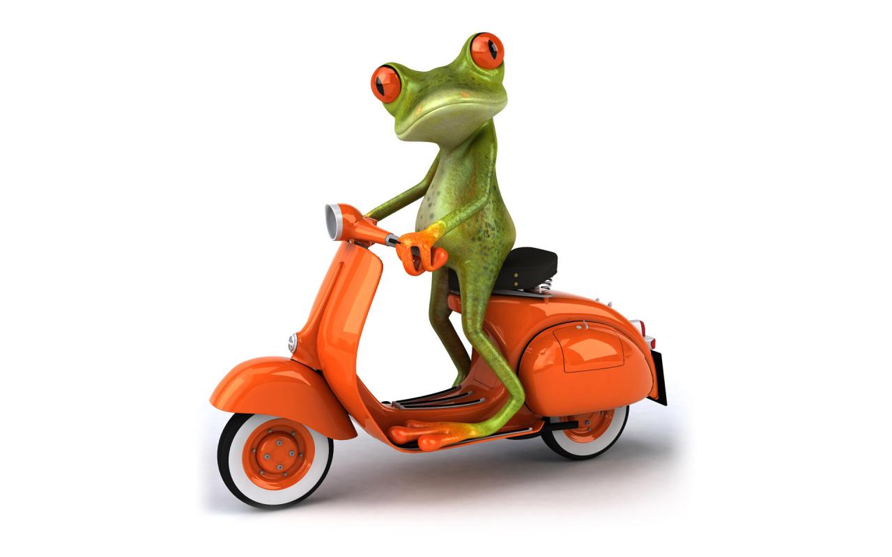 Related Pictures Funny Frogs Wallpapers Pictures Kermit - Gambar Kodok Naik Vespa - HD Wallpaper 