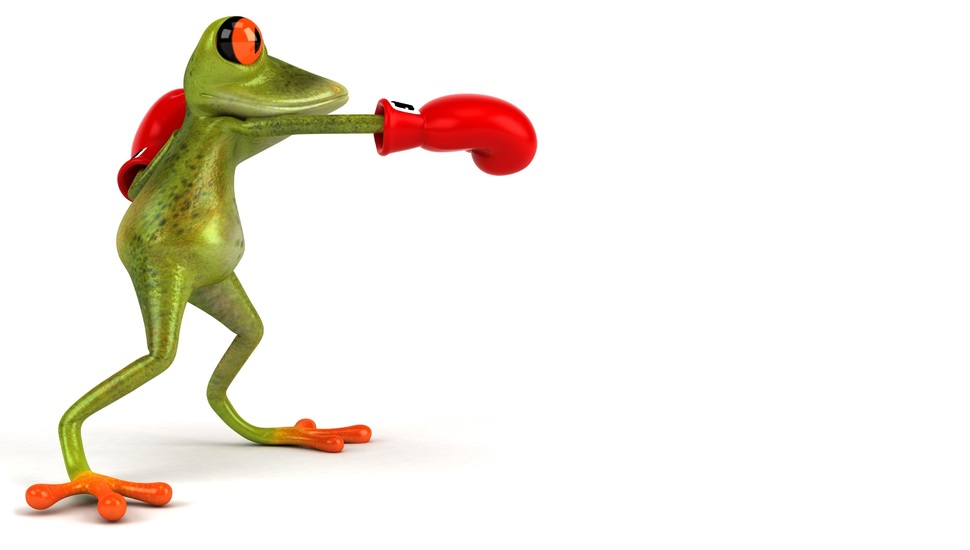 Free Frog 3d, Graphics, Boxing, Glove, Frog Desktop - Fuck A Frog In Anime - HD Wallpaper 