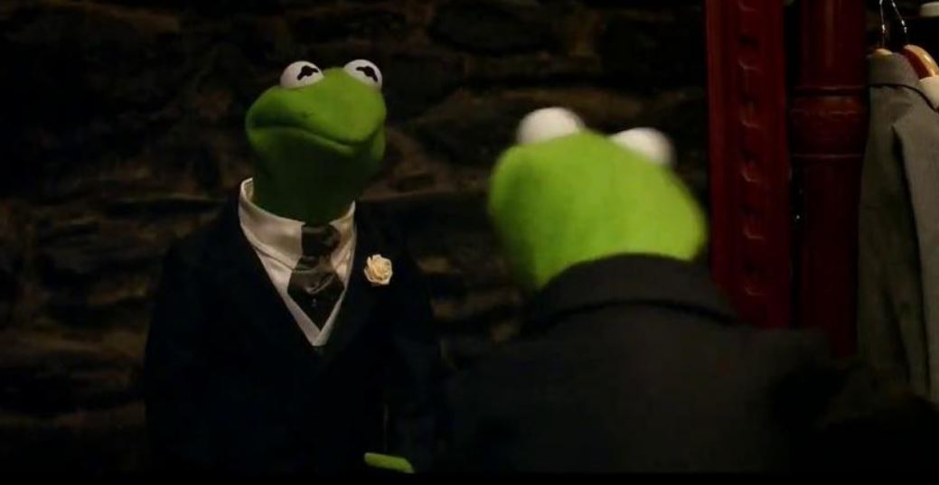 True Frog - HD Wallpaper 