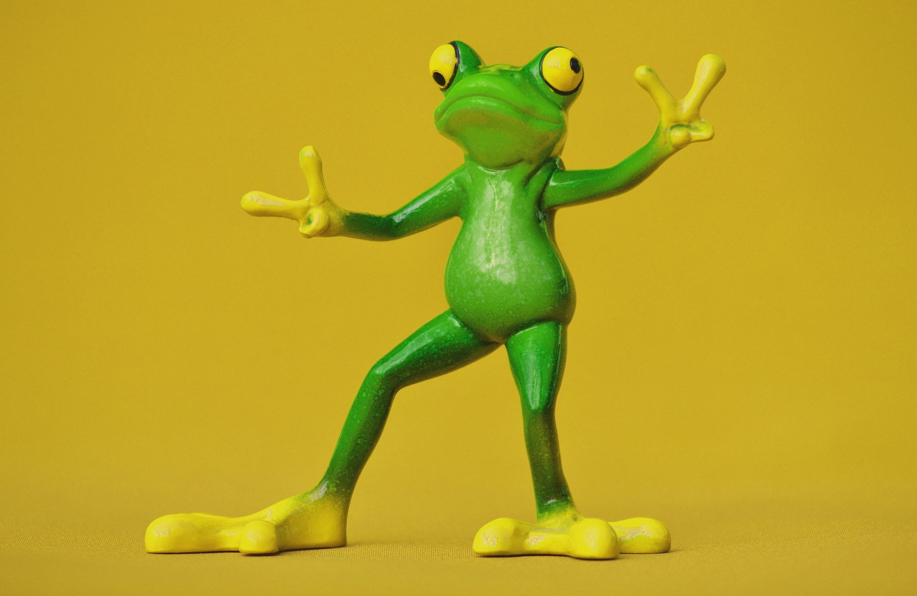 2948x1916, Funny Frog Wallpaper Wallpaper Wallpaper - Funny Frog