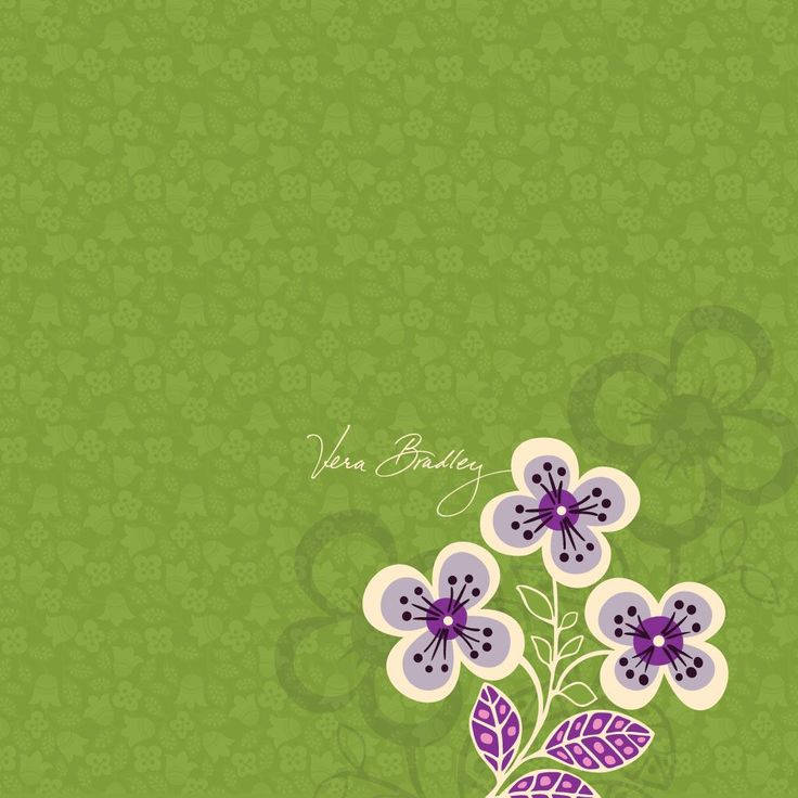 Vera Bradley Wallpaper - Vera Bradley Desktop - HD Wallpaper 