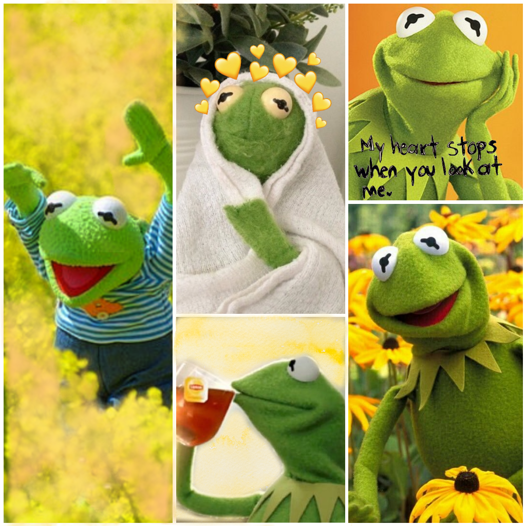 Kermit The Frog Aesthetic - HD Wallpaper 