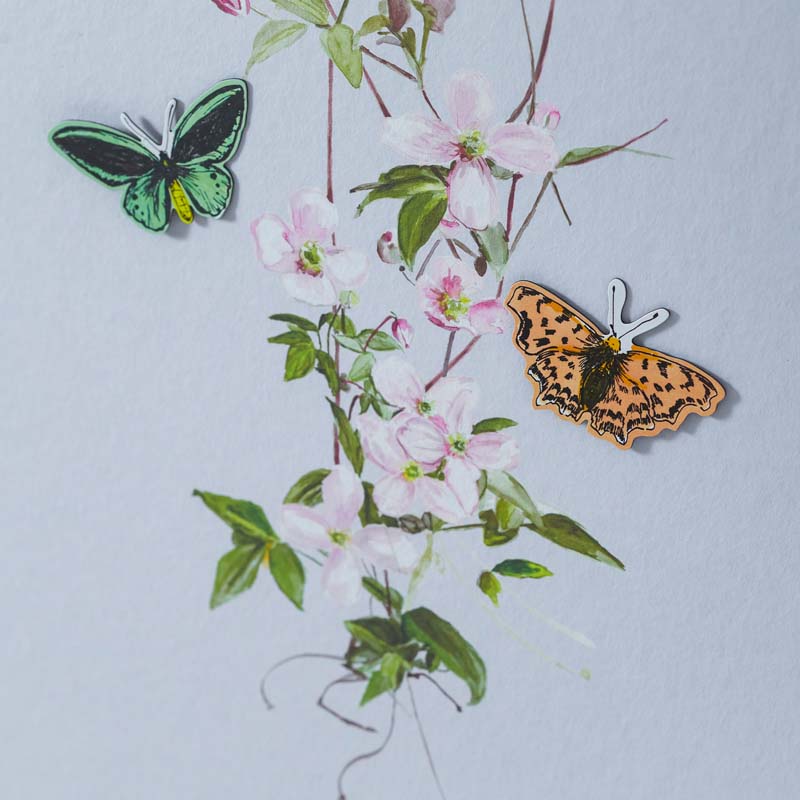 Speckled Wood (butterfly - HD Wallpaper 