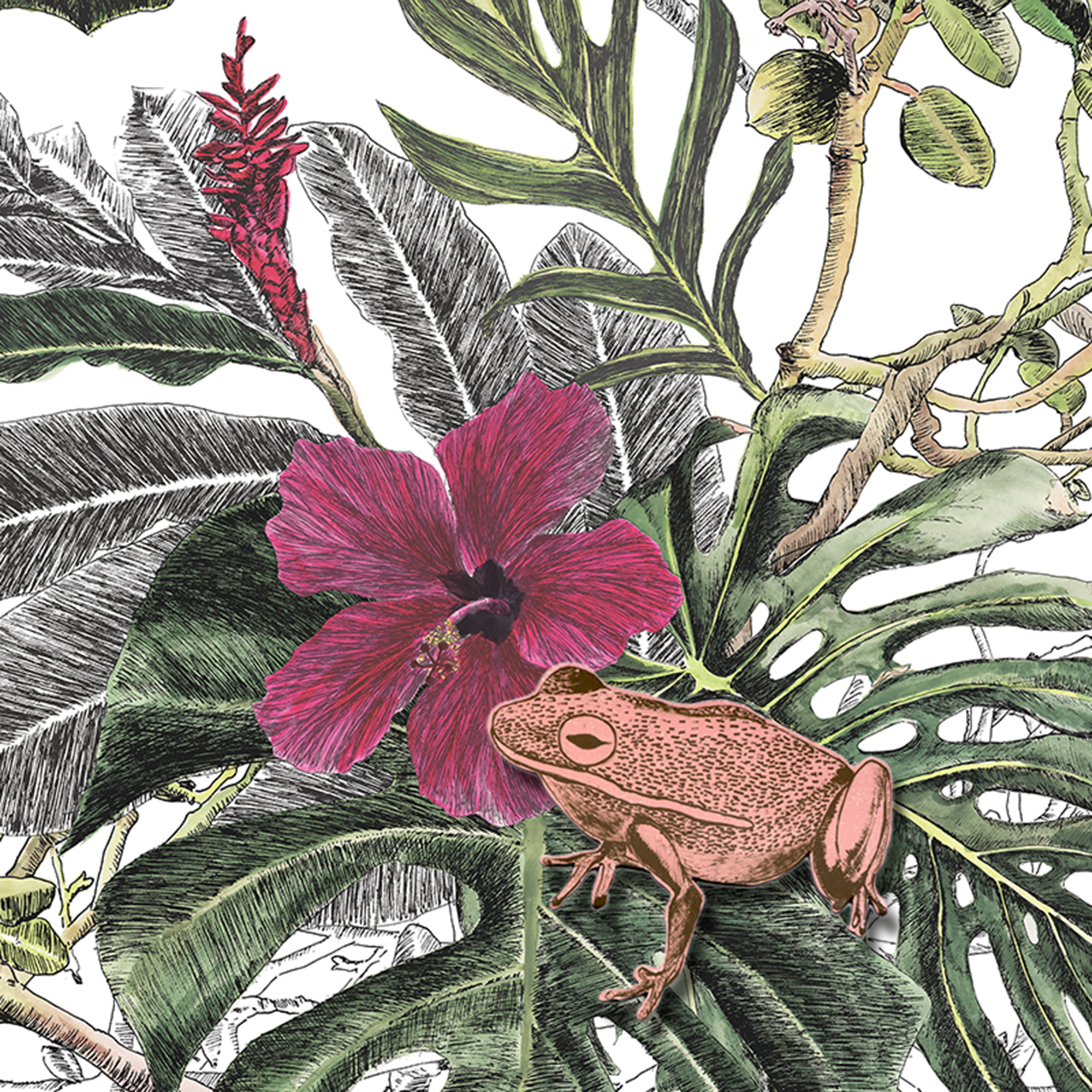 Wallpaper - HD Wallpaper 