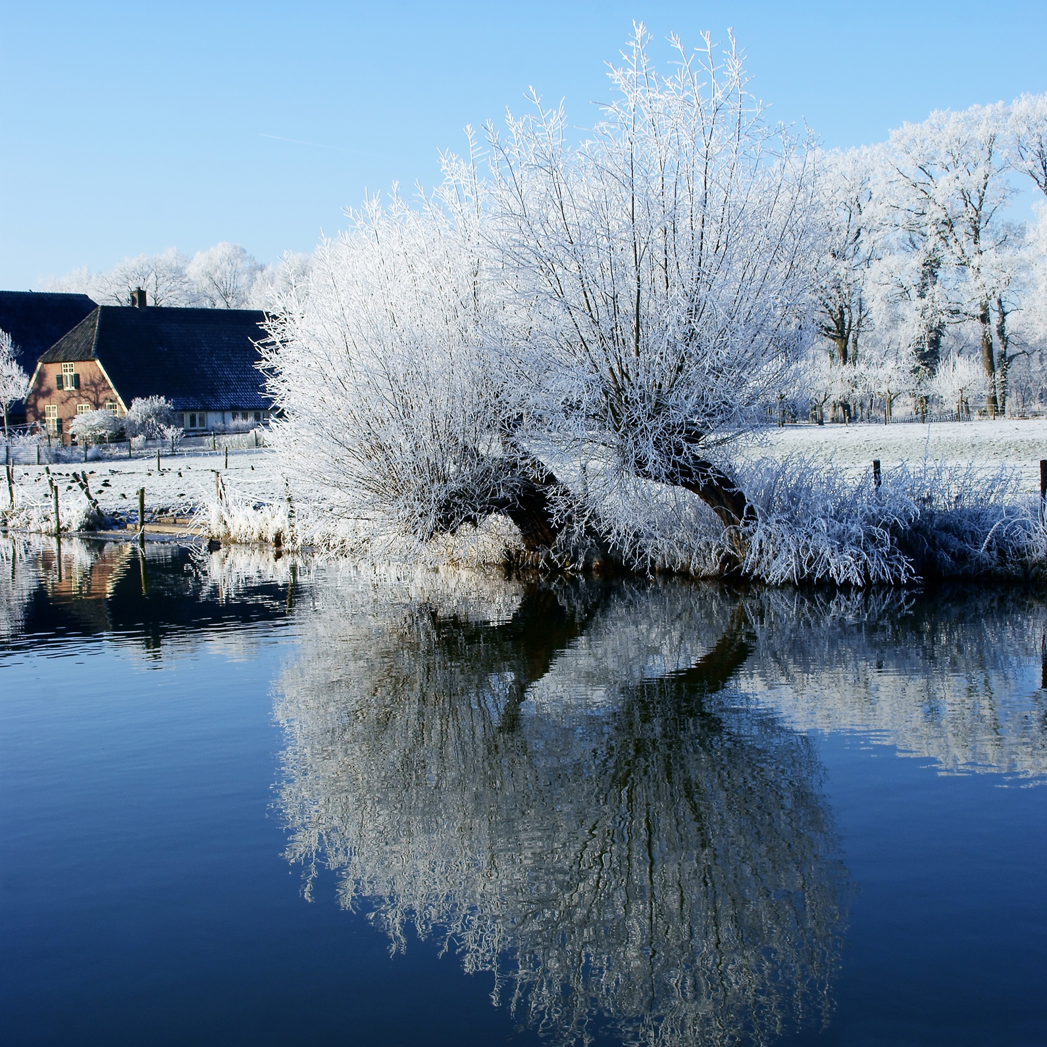 Wallpaper - HD Wallpaper 