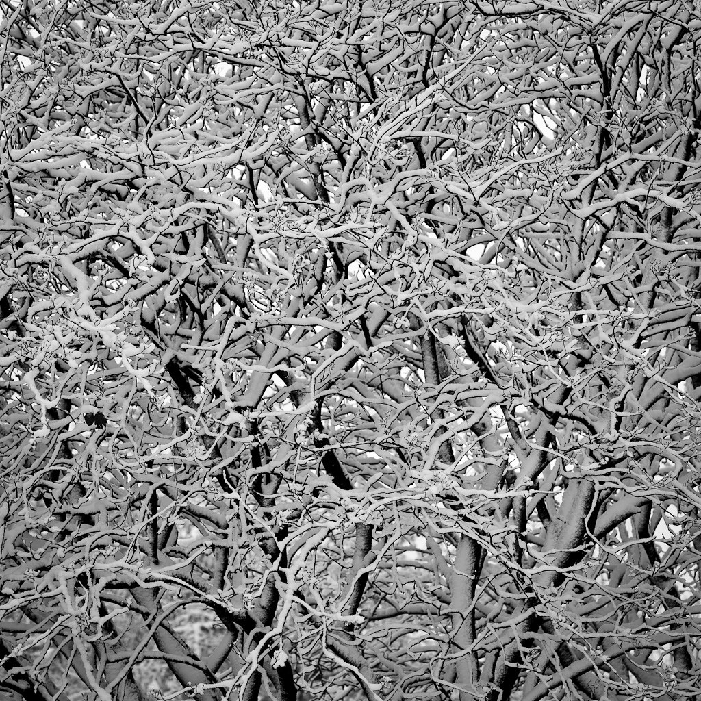 Monochrome - HD Wallpaper 