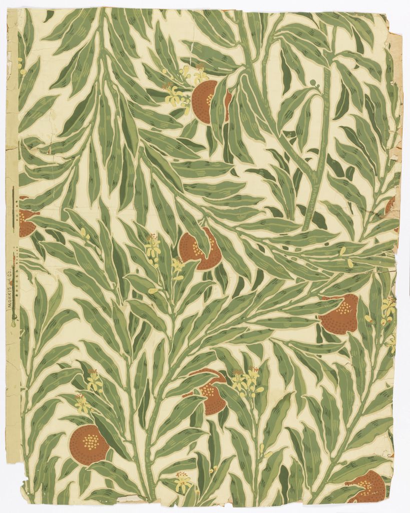 Orange Tree In Art History - HD Wallpaper 