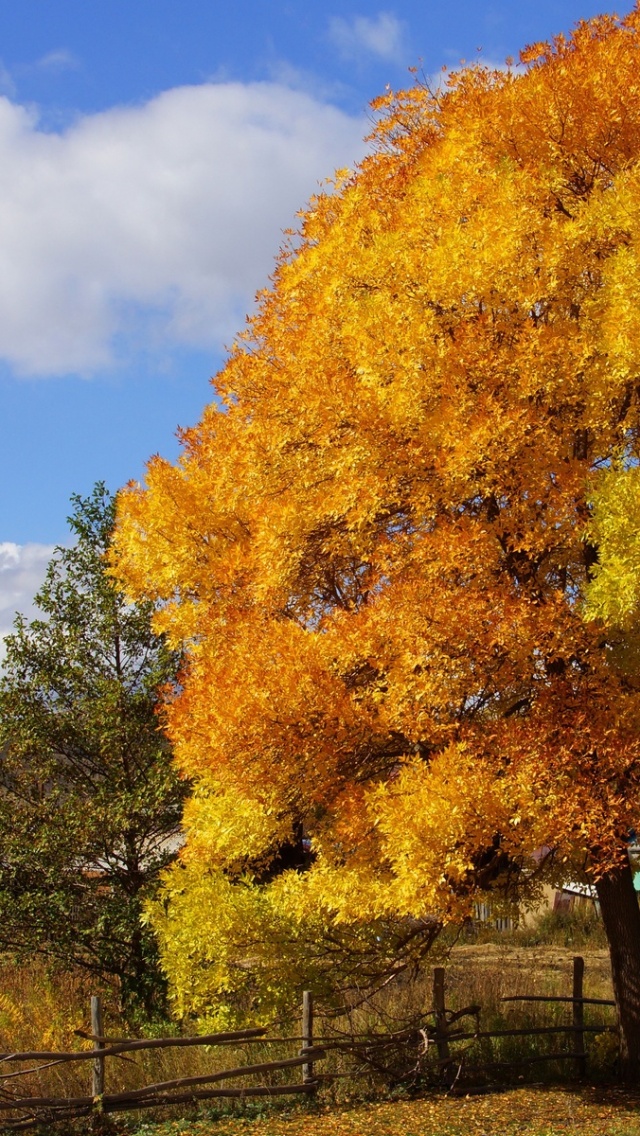 Обои На Рабочий Стол Осень В Деревне - HD Wallpaper 