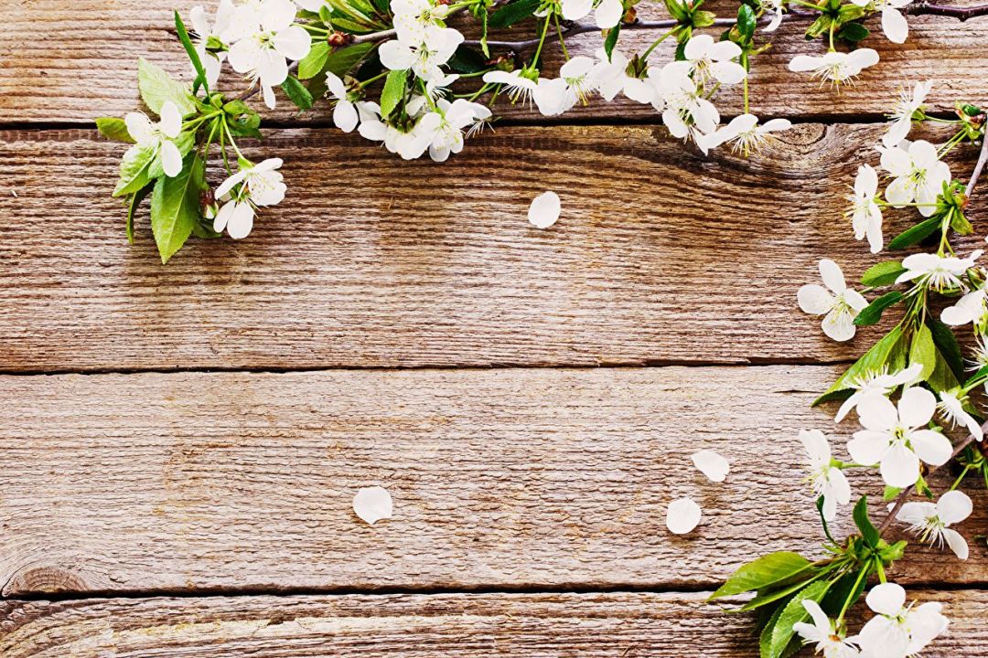 Android, Iphone, Desktop Hd Backgrounds / Wallpapers - Wooden Background With Flowers Hd - HD Wallpaper 