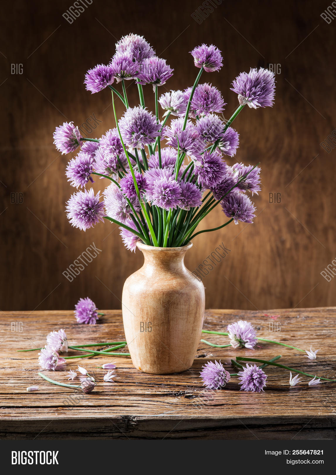 Chives - HD Wallpaper 