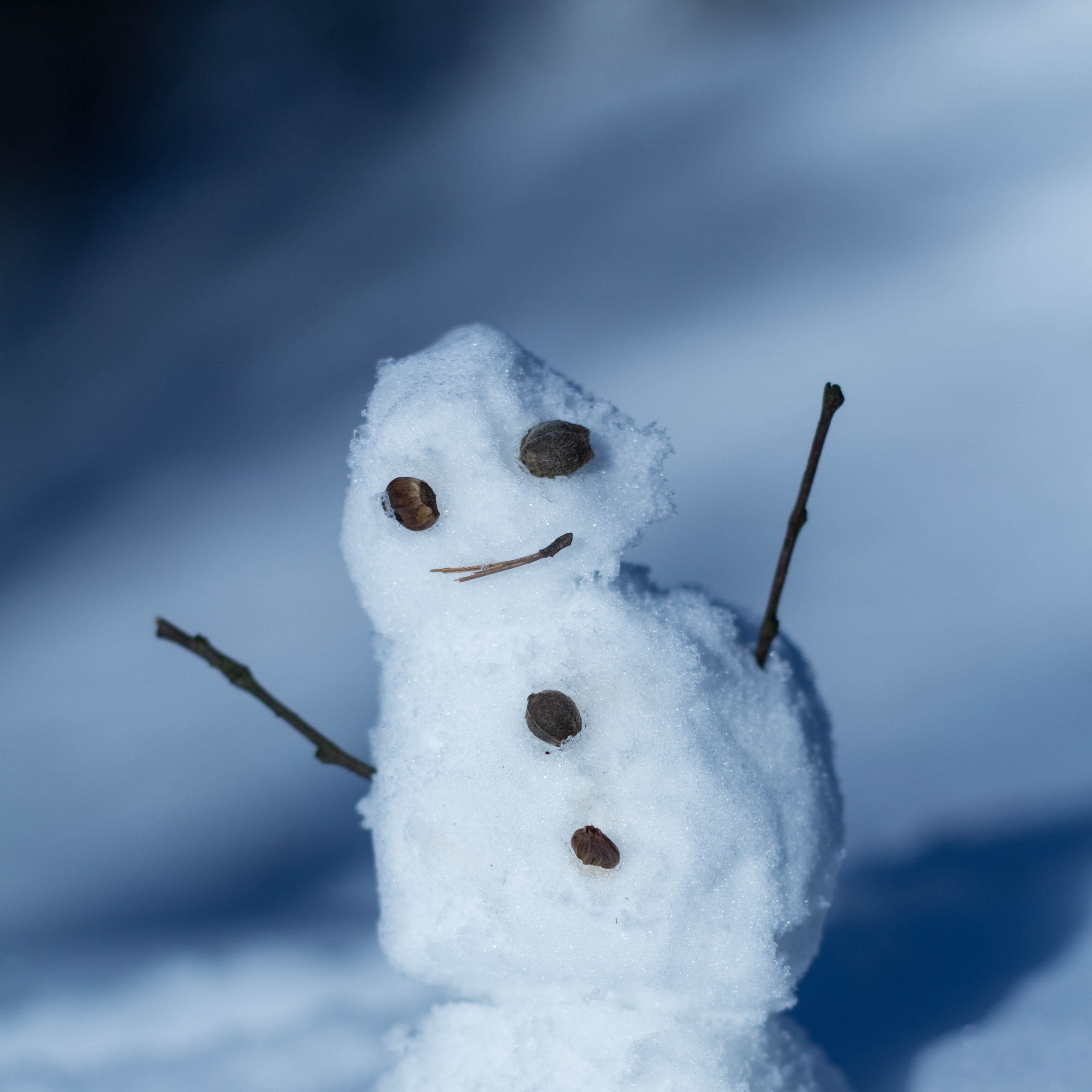 Wallpaper Snowman, Snow, Winter - Winter Wallpaper 1080 1920 - HD Wallpaper 