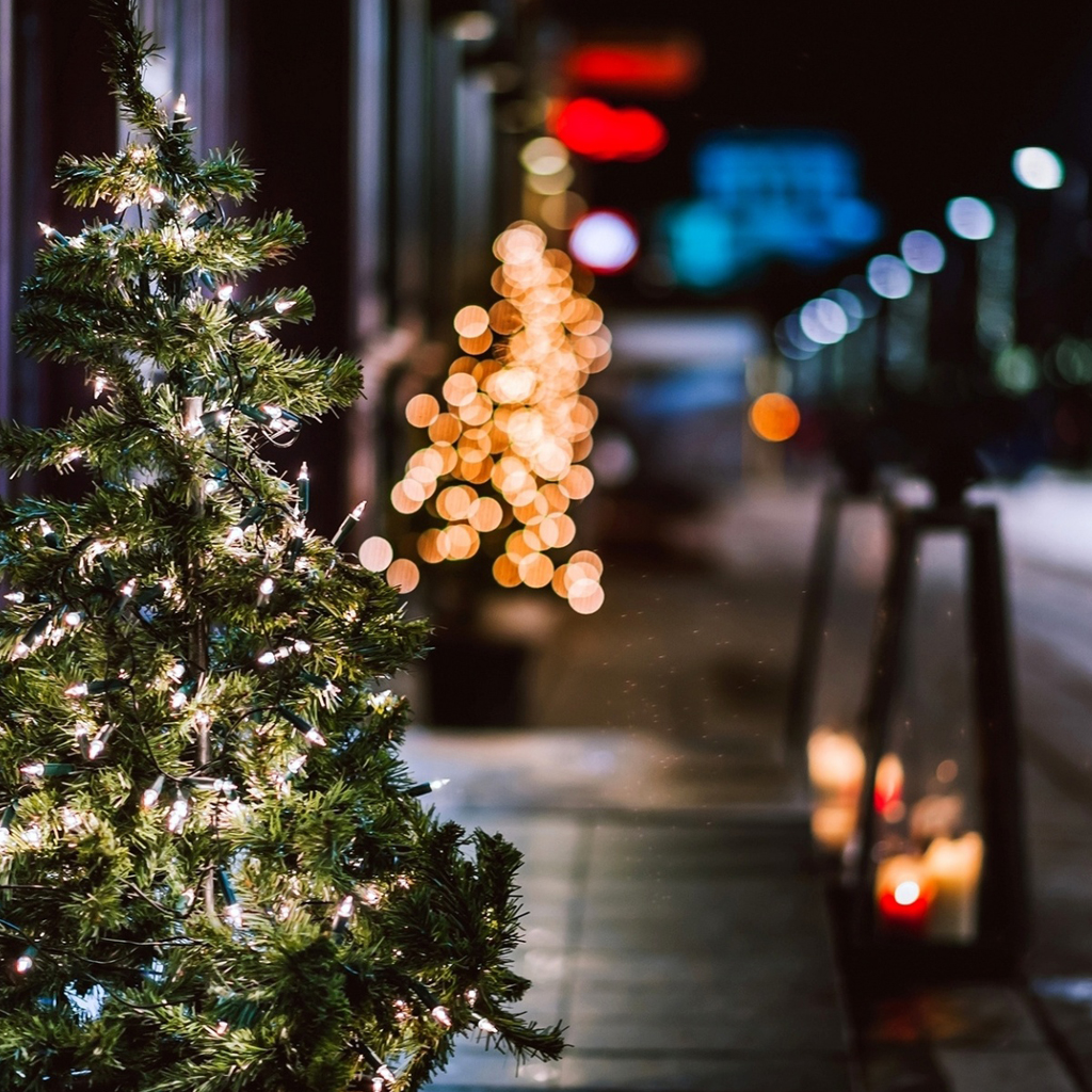 Christmas Tree Night Street - HD Wallpaper 